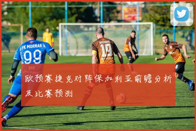 欧预赛捷克对阵保加利亚前瞻分析及比赛预测